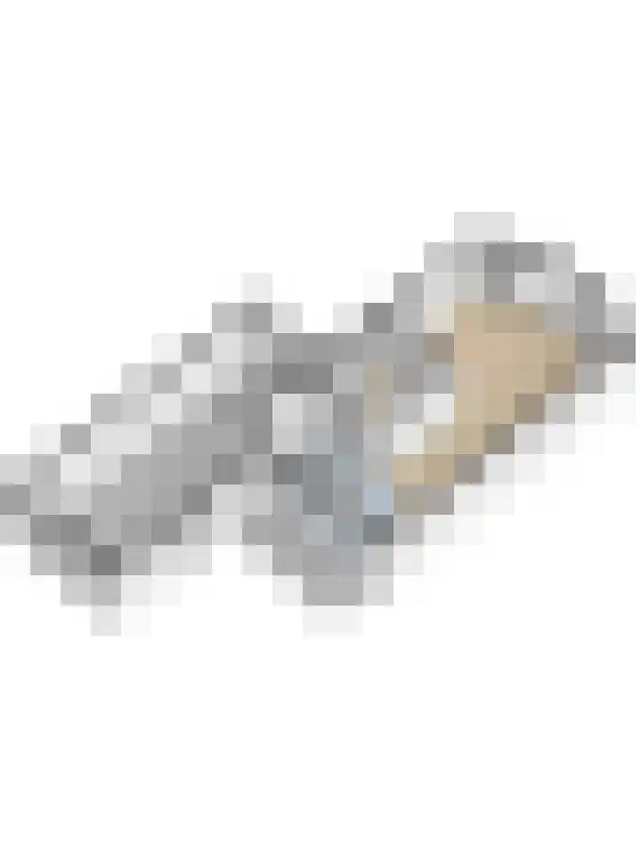 Zouwendijk 40 Meerkerk thumbnail 51