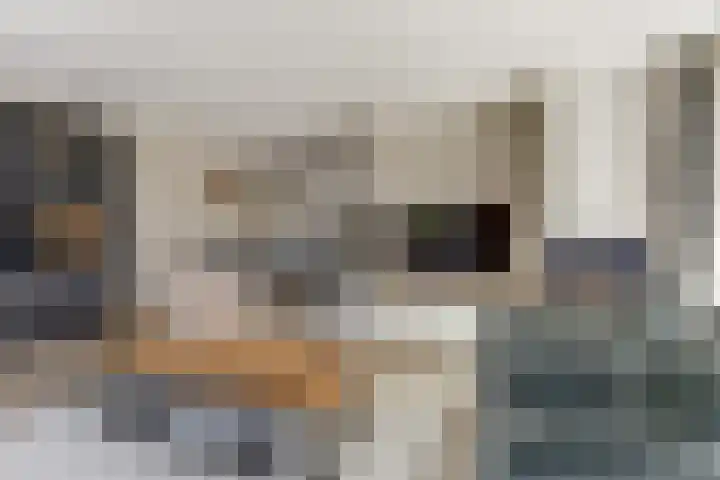 Zouwendijk 40 Meerkerk thumbnail 8