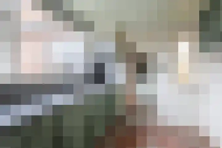 Zouwendijk 54 Meerkerk thumbnail 11