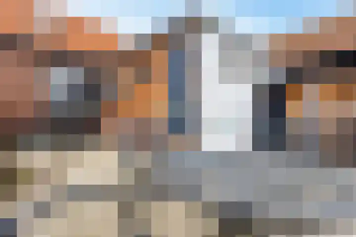 Zouwendijk 54 Meerkerk thumbnail 23