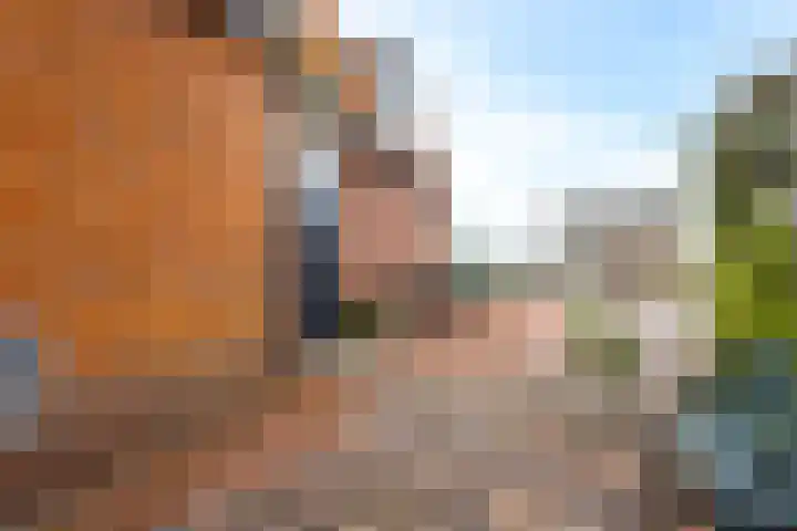 Zouwendijk 54 Meerkerk thumbnail 26