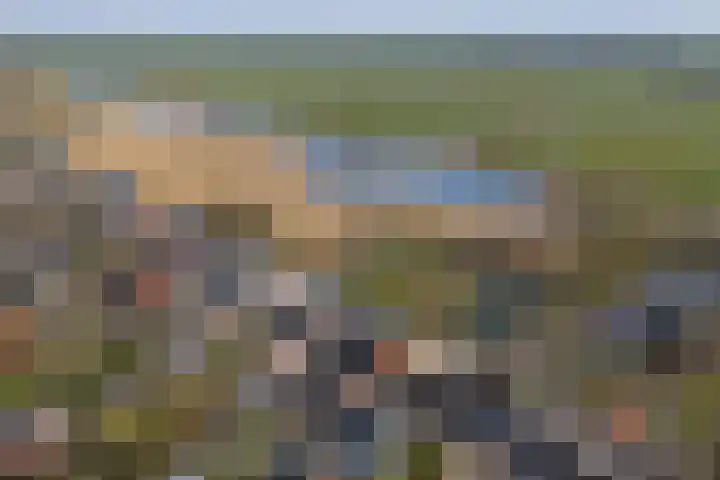 Zouwendijk 54 Meerkerk thumbnail 27