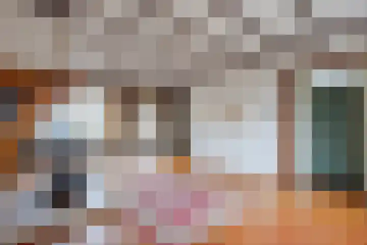 Zouwendijk 54 Meerkerk thumbnail 6