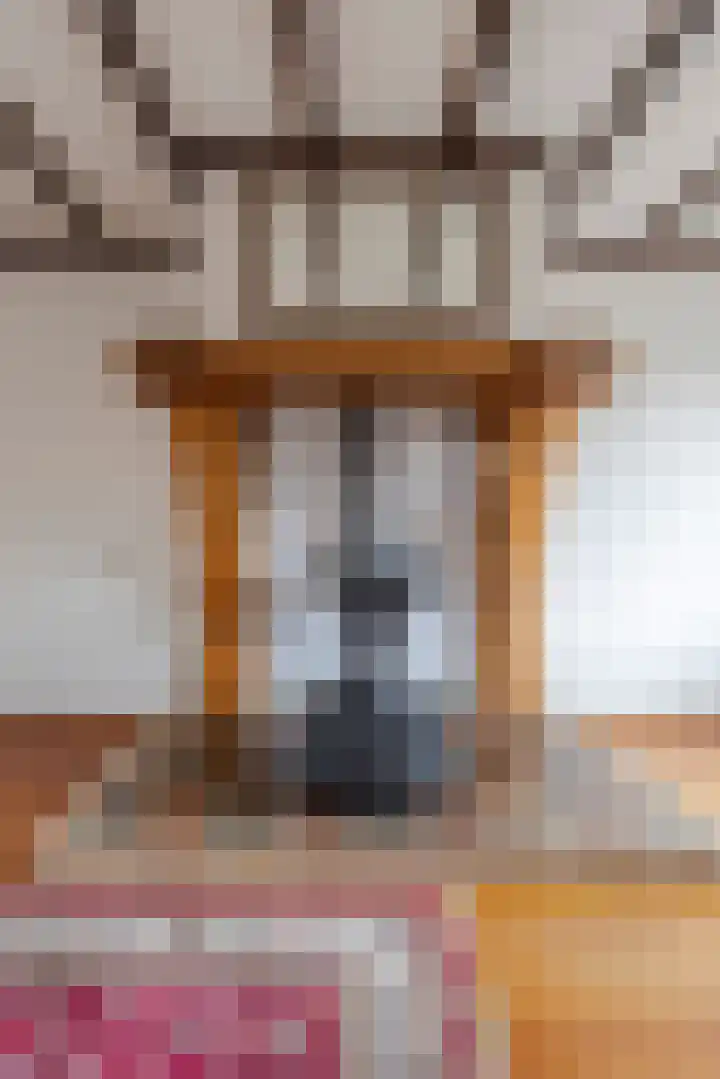 Zouwendijk 54 Meerkerk thumbnail 9