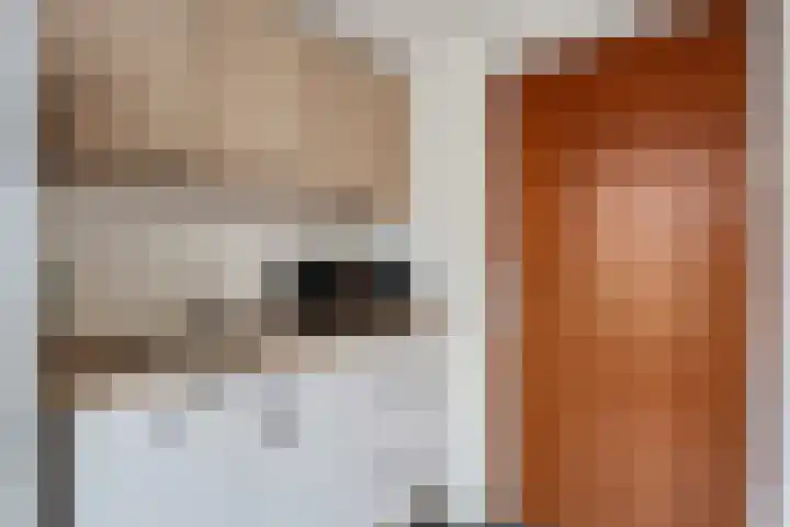Zr Broerstraat 19 Diever thumbnail 14