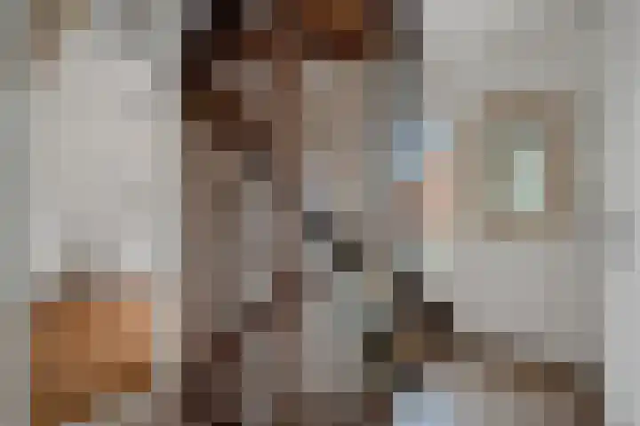 Zr Broerstraat 19 Diever thumbnail 17