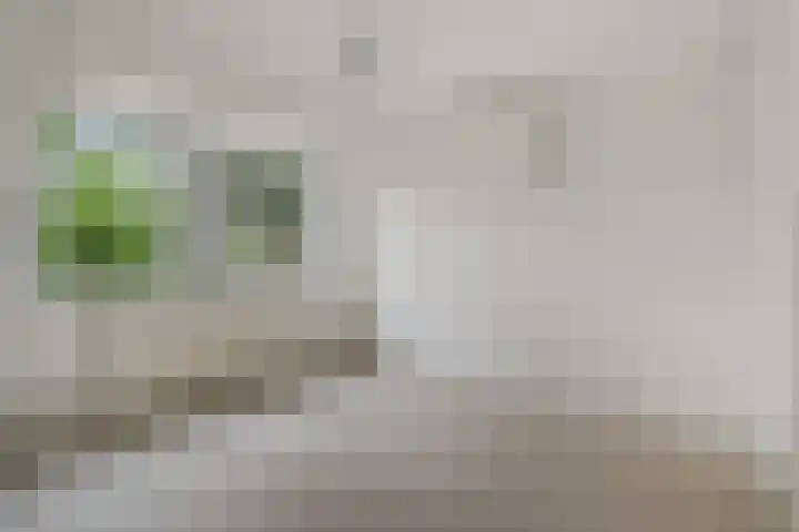 Zr Broerstraat 19 Diever thumbnail 18