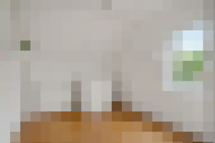 Zr Broerstraat 19 Diever thumbnail 22