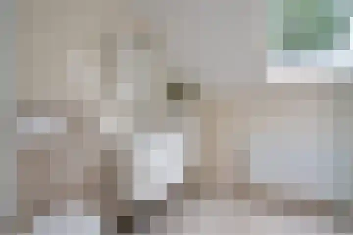 Zr Broerstraat 19 Diever thumbnail 23