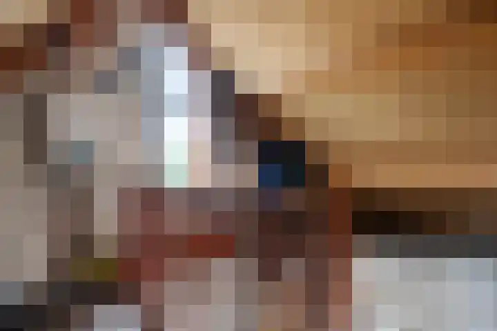Zr Broerstraat 19 Diever thumbnail 26