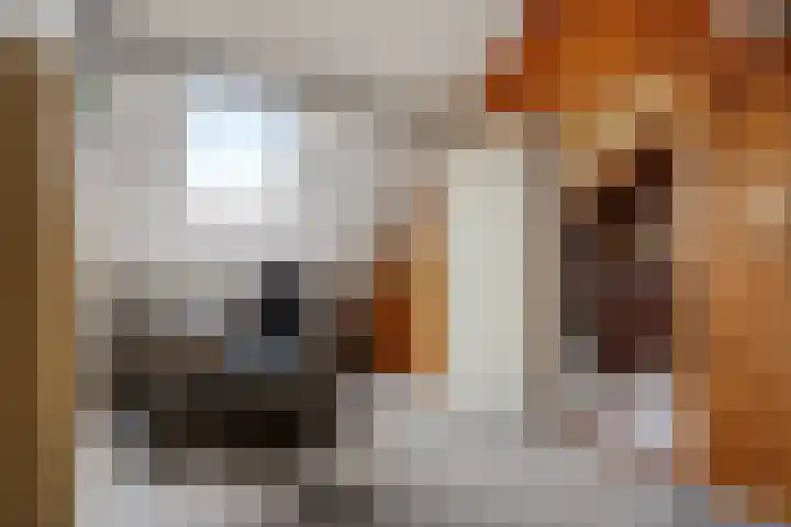 Zr Broerstraat 19 Diever thumbnail 28