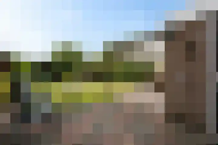Zr Broerstraat 19 Diever thumbnail 30