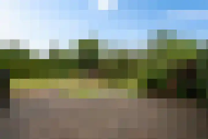 Zr Broerstraat 19 Diever thumbnail 33