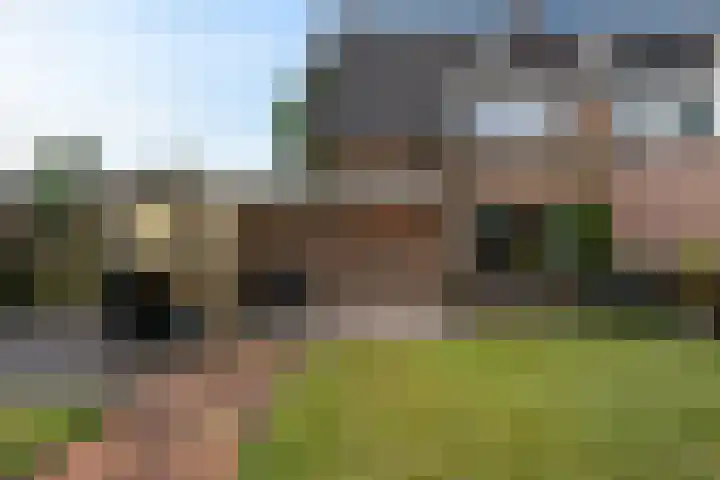 Zr Broerstraat 19 Diever thumbnail 36