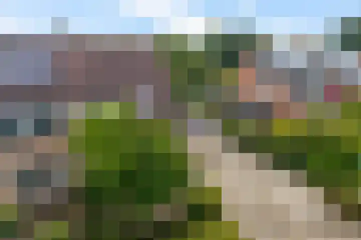 Zr Broerstraat 19 Diever thumbnail 44
