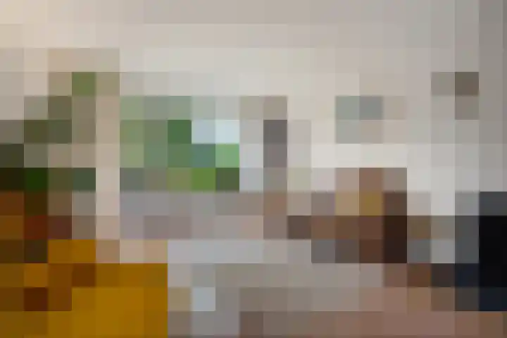 Zr Broerstraat 19 Diever thumbnail 5