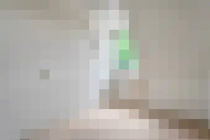 Zr Broerstraat 9 Diever thumbnail 17