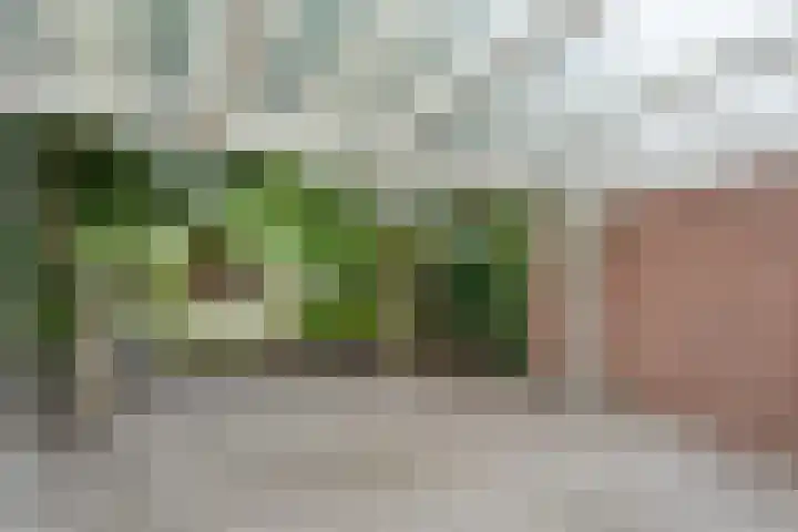 Zr Broerstraat 9 Diever thumbnail 30