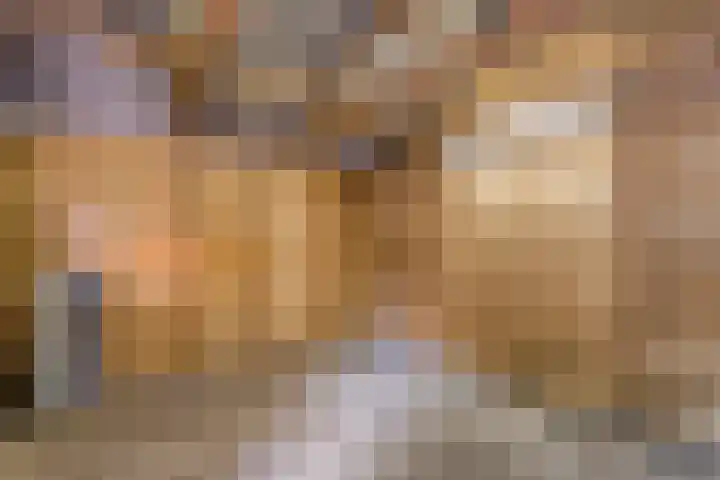 Zr Broerstraat 9 Diever thumbnail 34