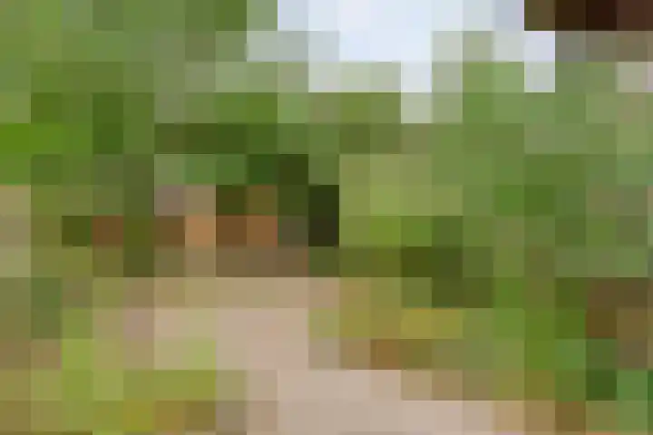 Zr Broerstraat 9 Diever thumbnail 36