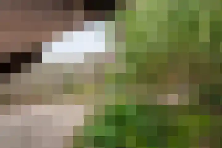 Zr Broerstraat 9 Diever thumbnail 37