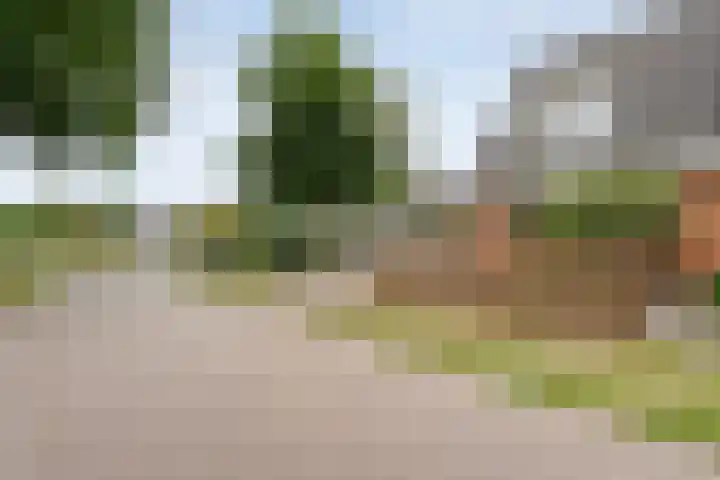 Zr Broerstraat 9 Diever thumbnail 39