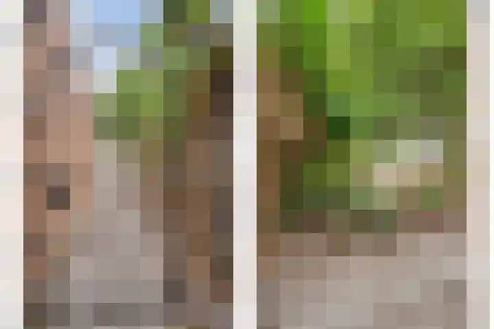 Zr Broerstraat 9 Diever thumbnail 41