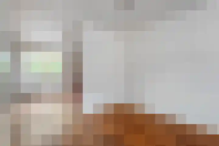 Zr Broerstraat 9 Diever thumbnail 8