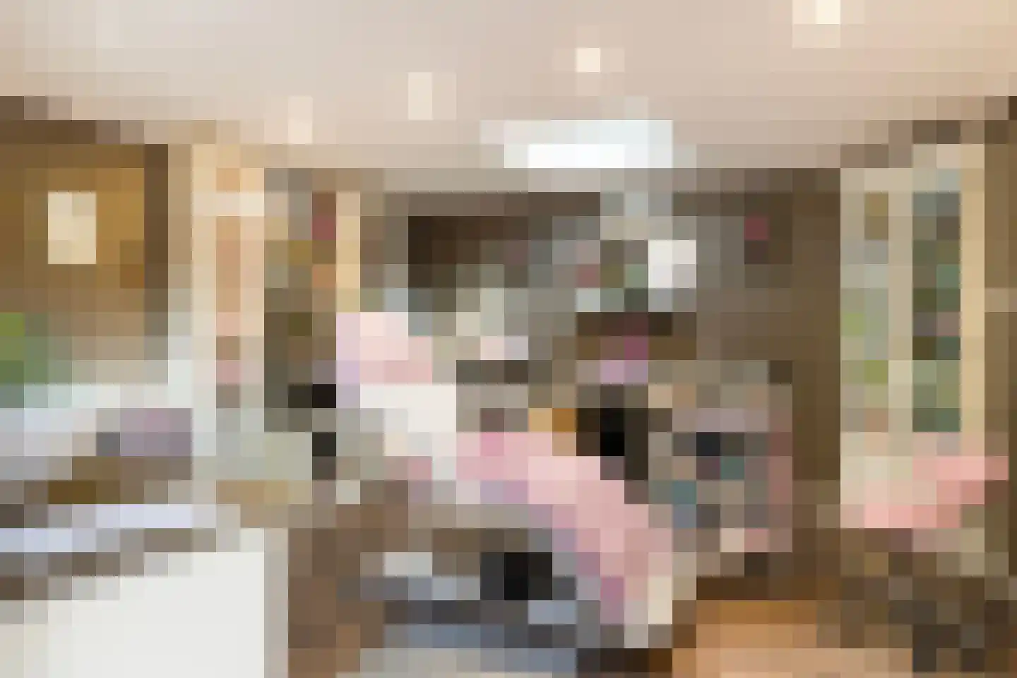 Zr Marie Adolphinestr 18 Ossendrecht thumbnail 42