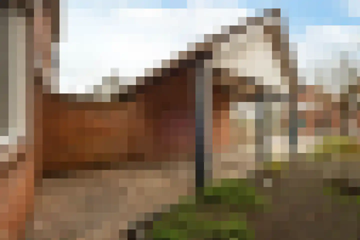 Zr Marie Adolphinestr 26 a Ossendrecht thumbnail 32