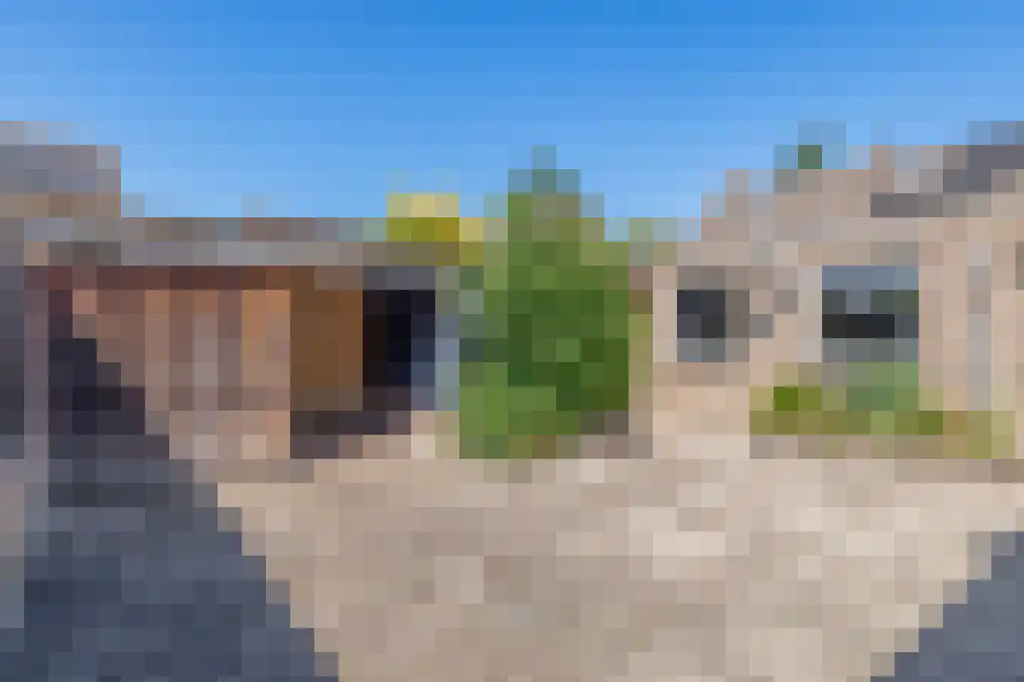 Zr Persoonsstraat 15 Mariahout thumbnail 48