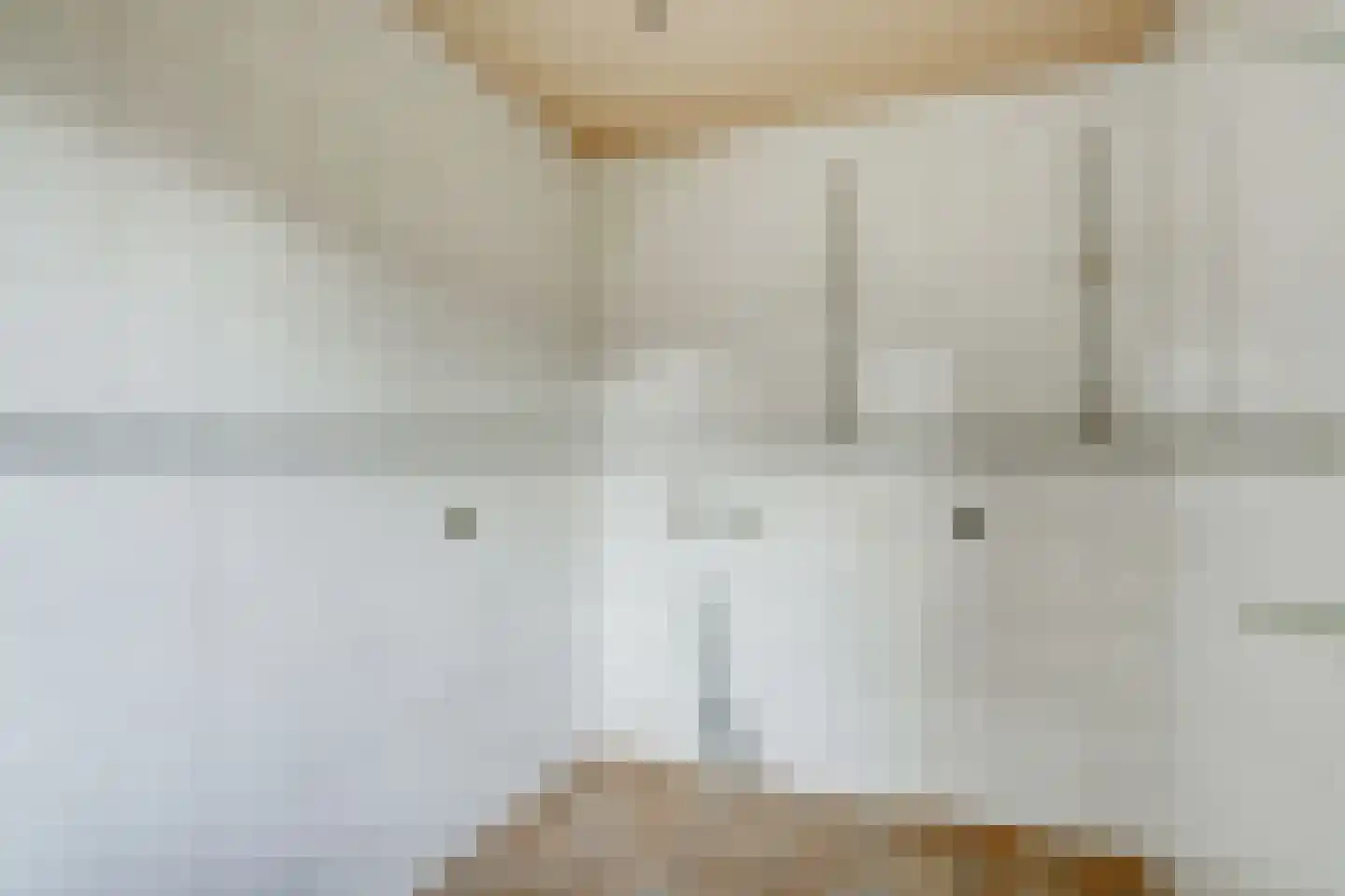 Zr. Simpliciastraat 16 Emmer-Compascuum thumbnail 10