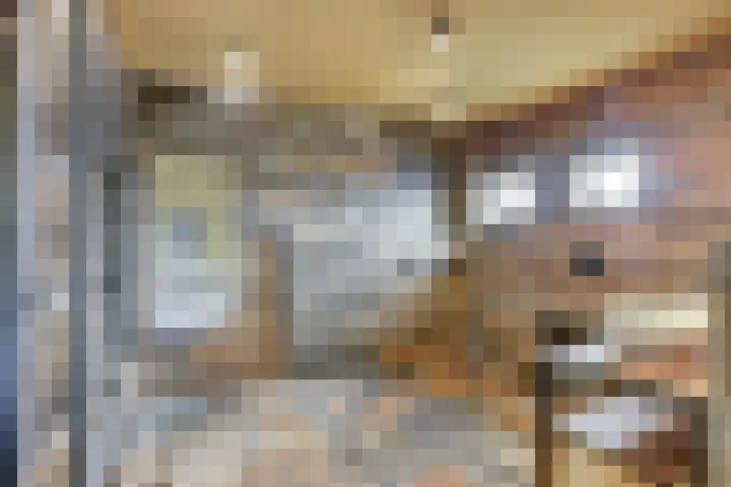Zr. Simpliciastraat 16 Emmer-Compascuum thumbnail 14