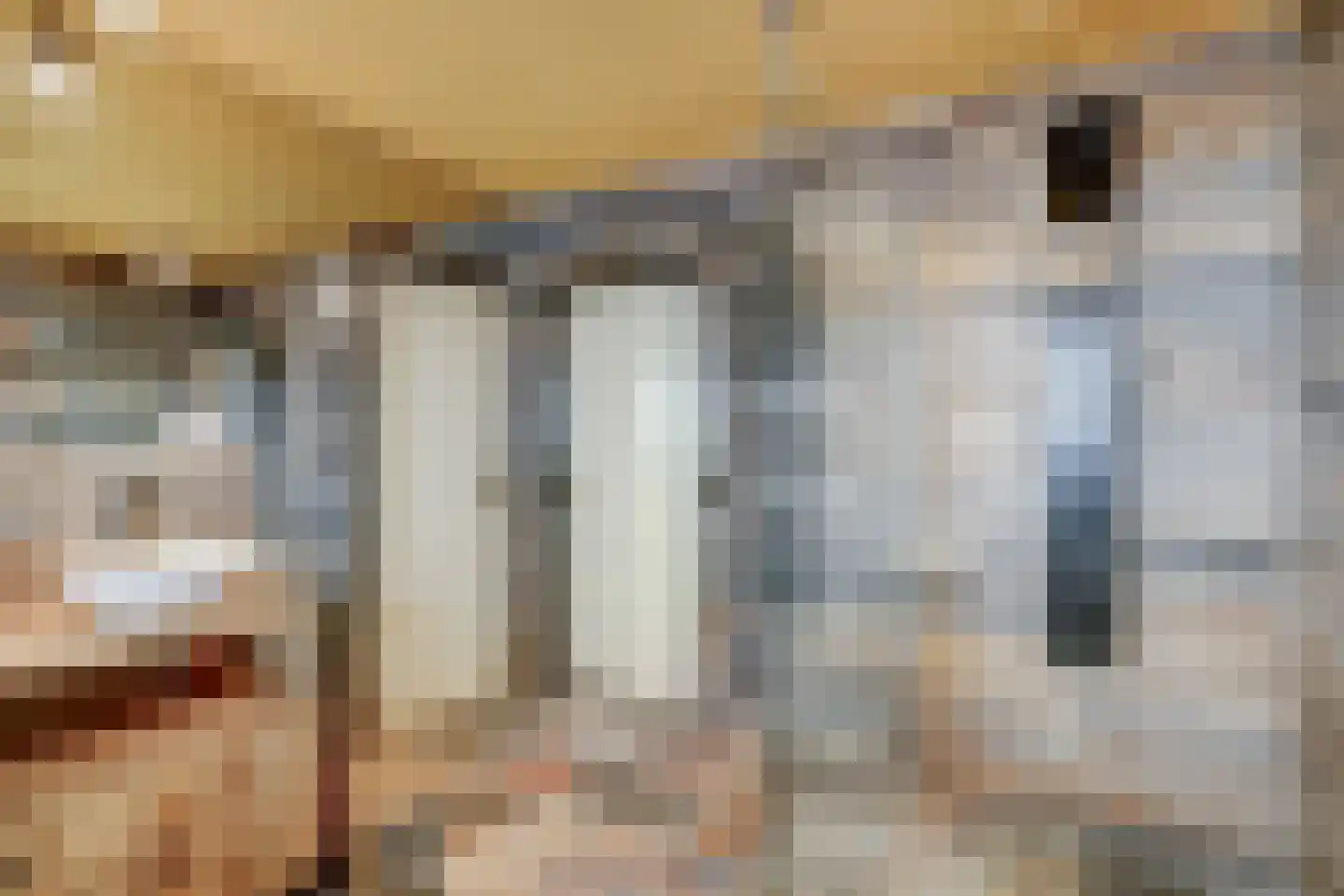Zr. Simpliciastraat 16 Emmer-Compascuum thumbnail 16