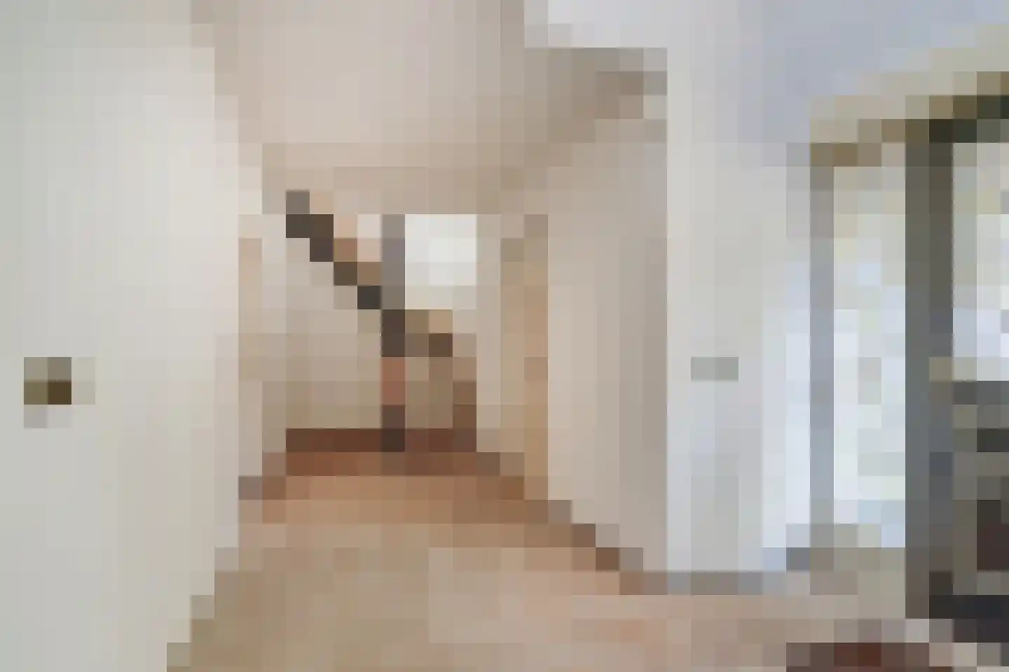 Zr. Simpliciastraat 16 Emmer-Compascuum thumbnail 23