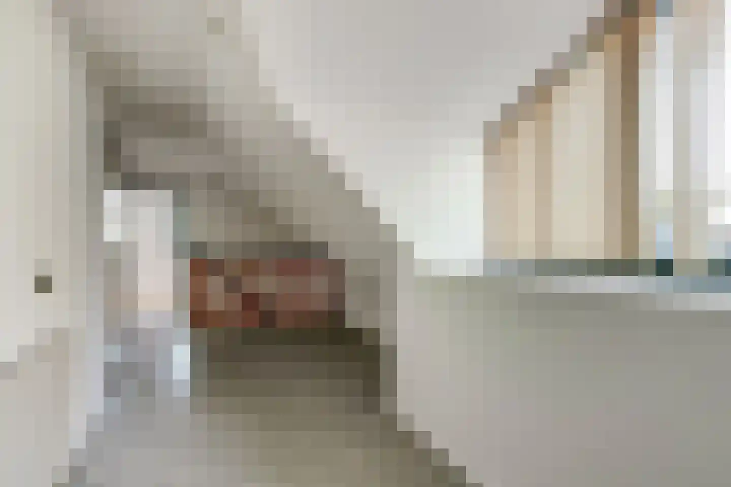 Zr. Simpliciastraat 16 Emmer-Compascuum thumbnail 25