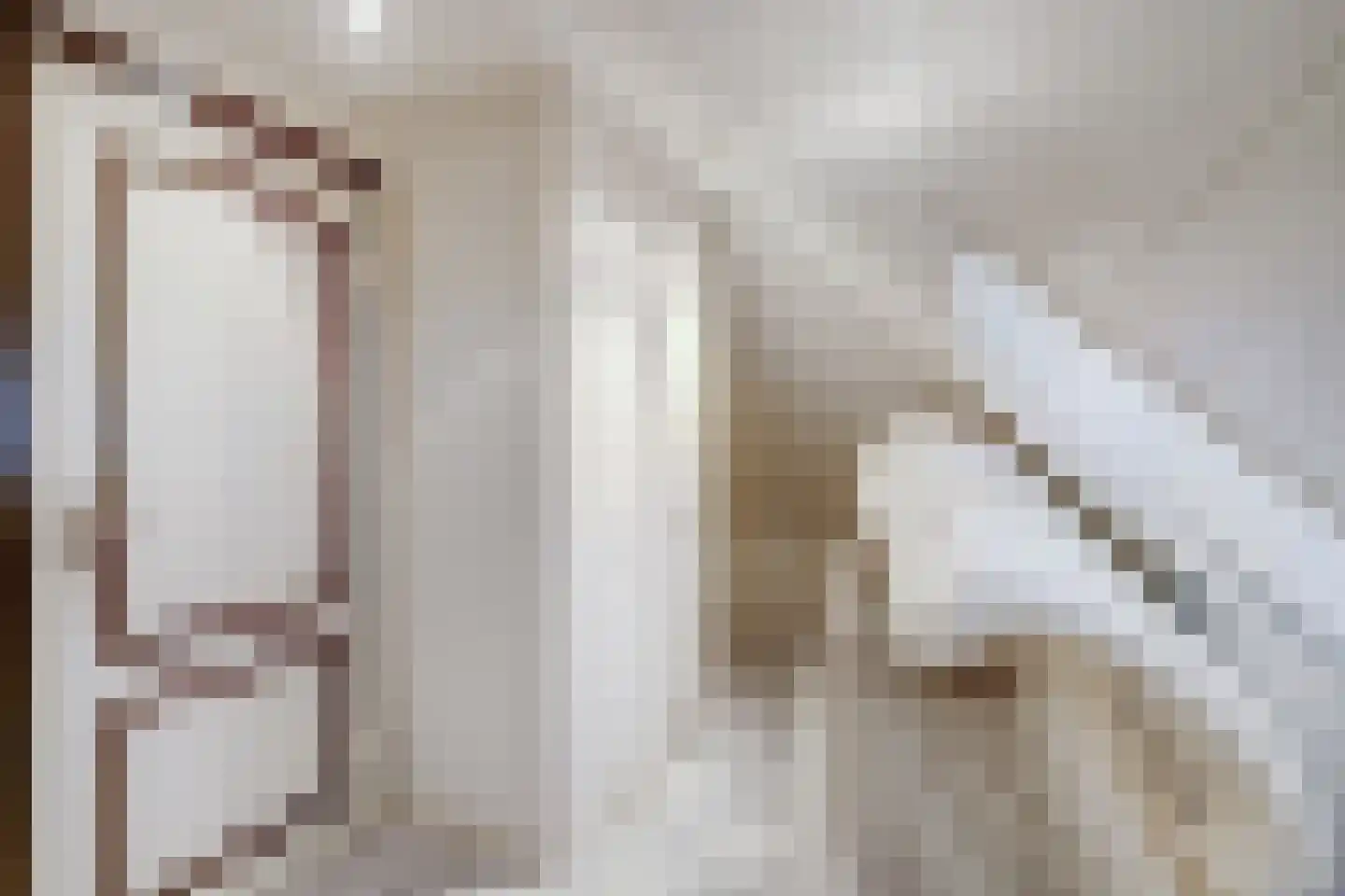 Zr. Simpliciastraat 16 Emmer-Compascuum thumbnail 31