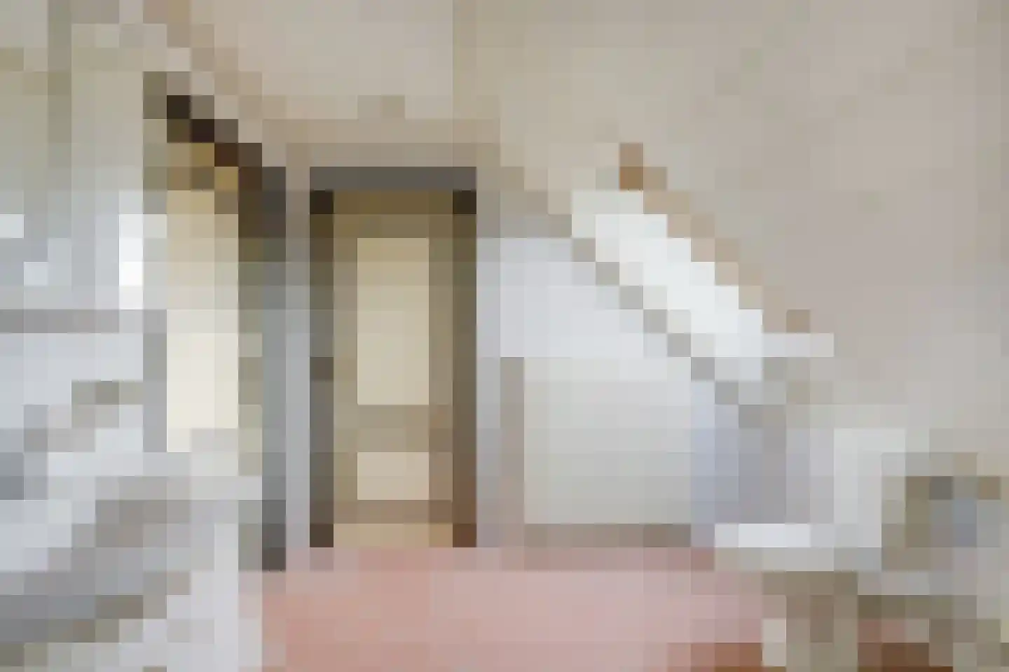 Zr. Simpliciastraat 16 Emmer-Compascuum thumbnail 33
