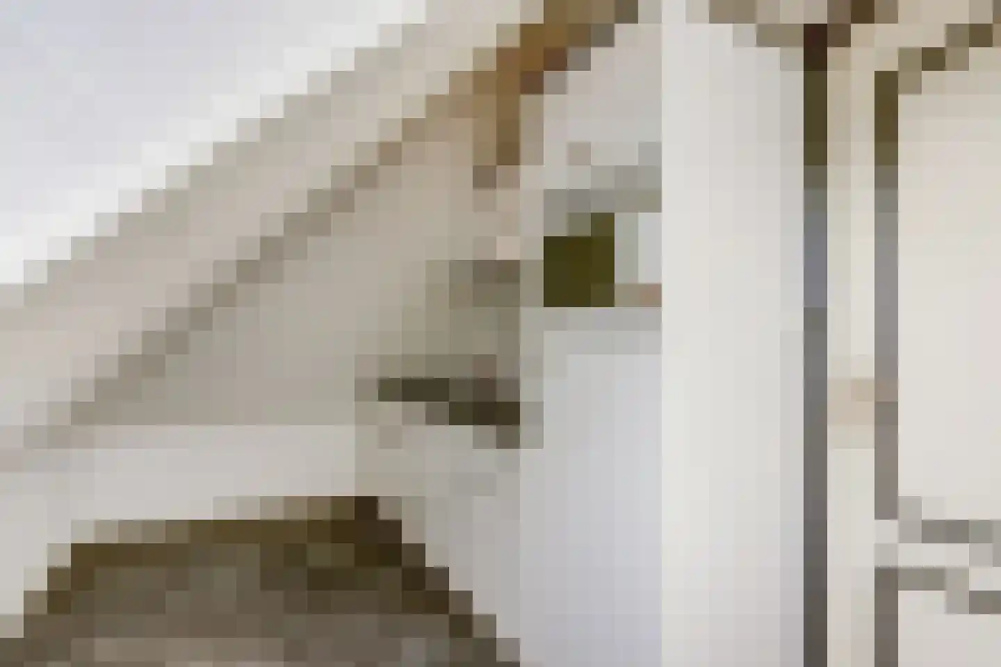 Zr. Simpliciastraat 16 Emmer-Compascuum thumbnail 34