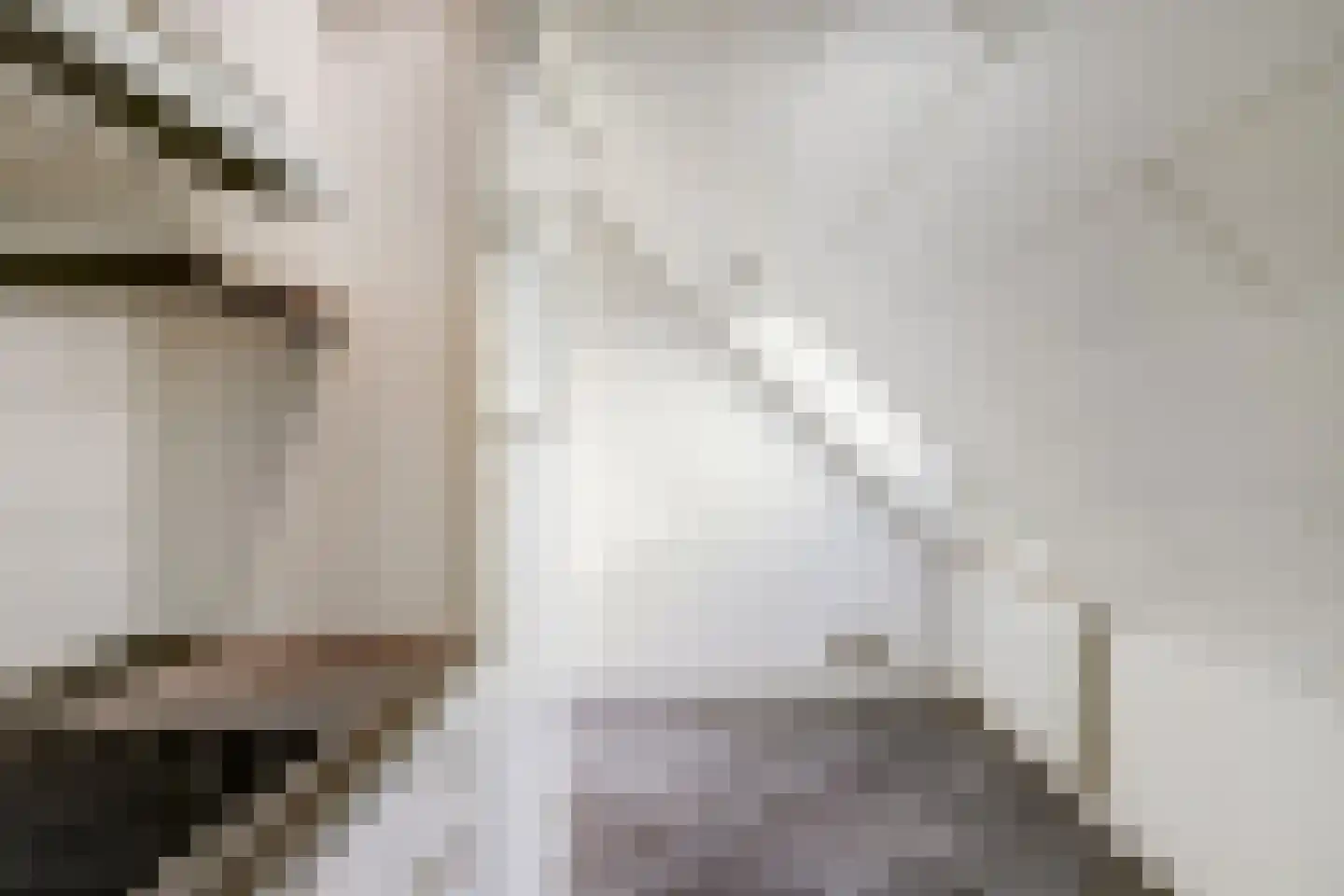 Zr. Simpliciastraat 16 Emmer-Compascuum thumbnail 35