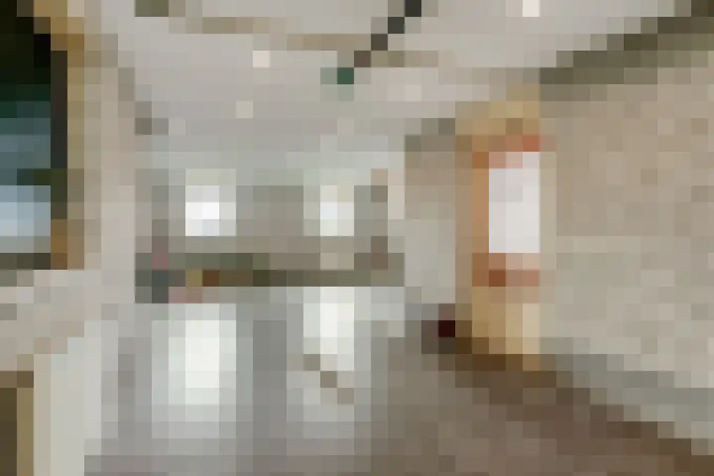 Zr. Simpliciastraat 16 Emmer-Compascuum thumbnail 36