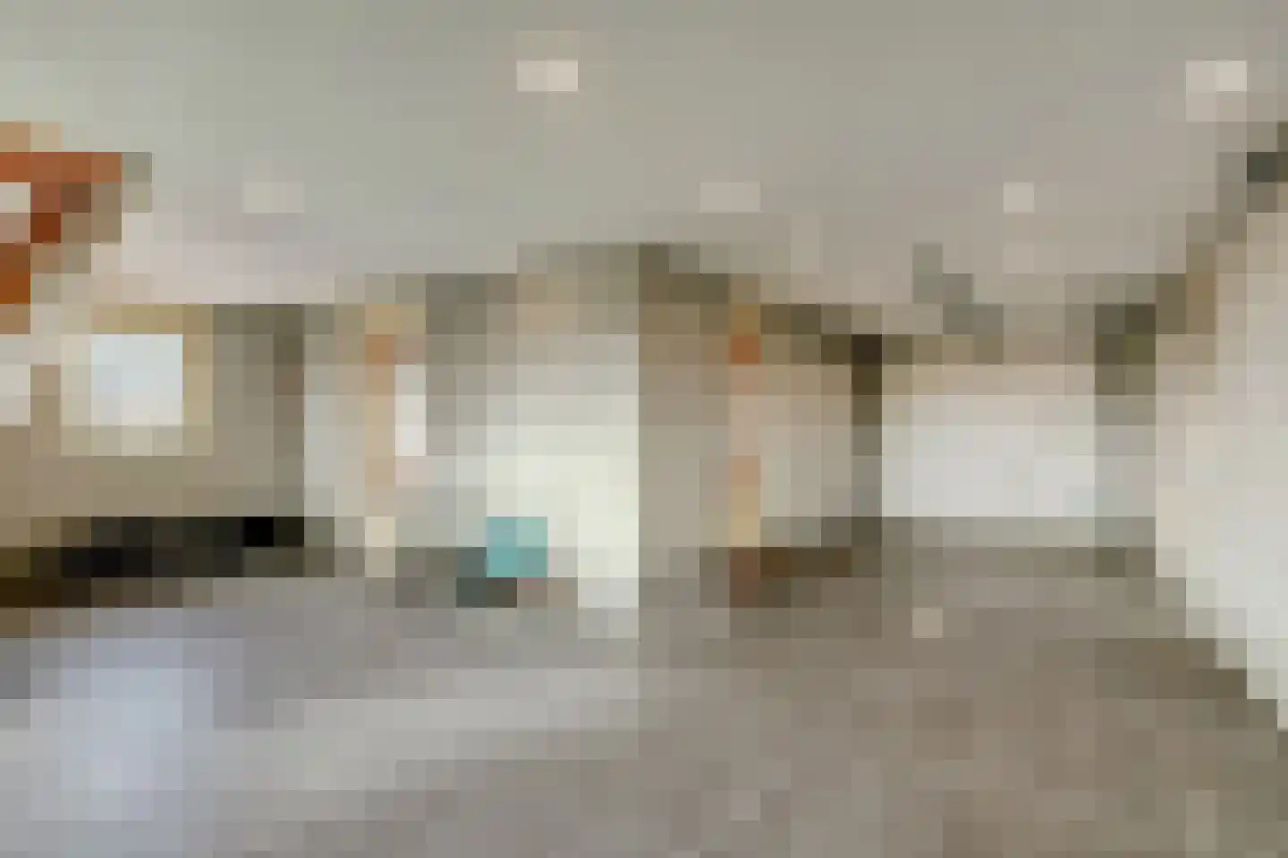 Zr. Simpliciastraat 16 Emmer-Compascuum thumbnail 37