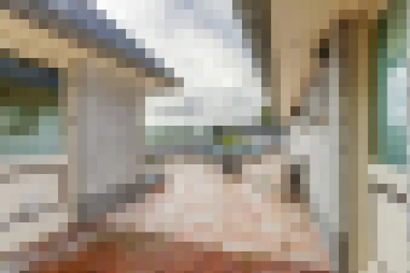 Zr. Simpliciastraat 16 Emmer-Compascuum thumbnail 38