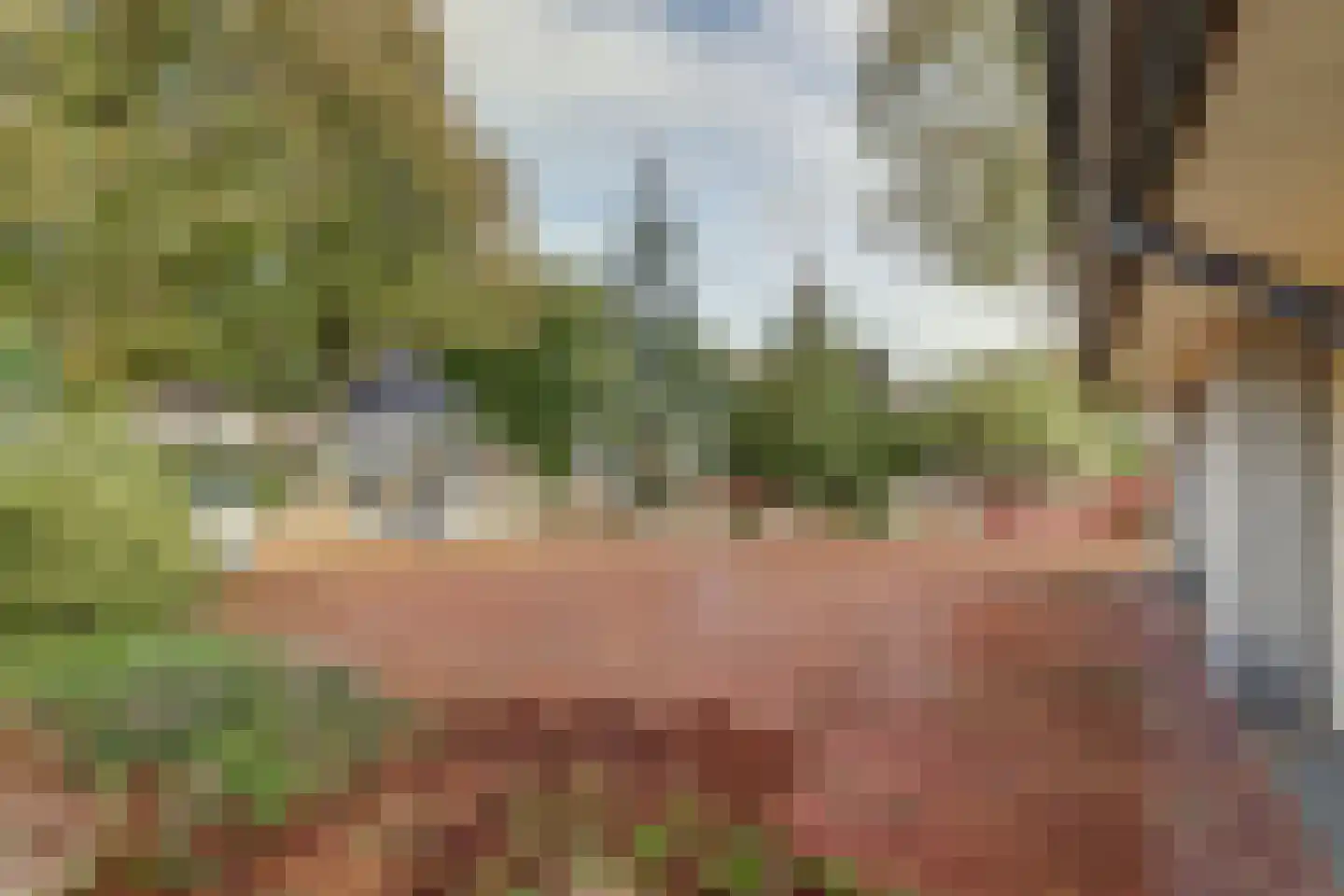 Zr. Simpliciastraat 16 Emmer-Compascuum thumbnail 42