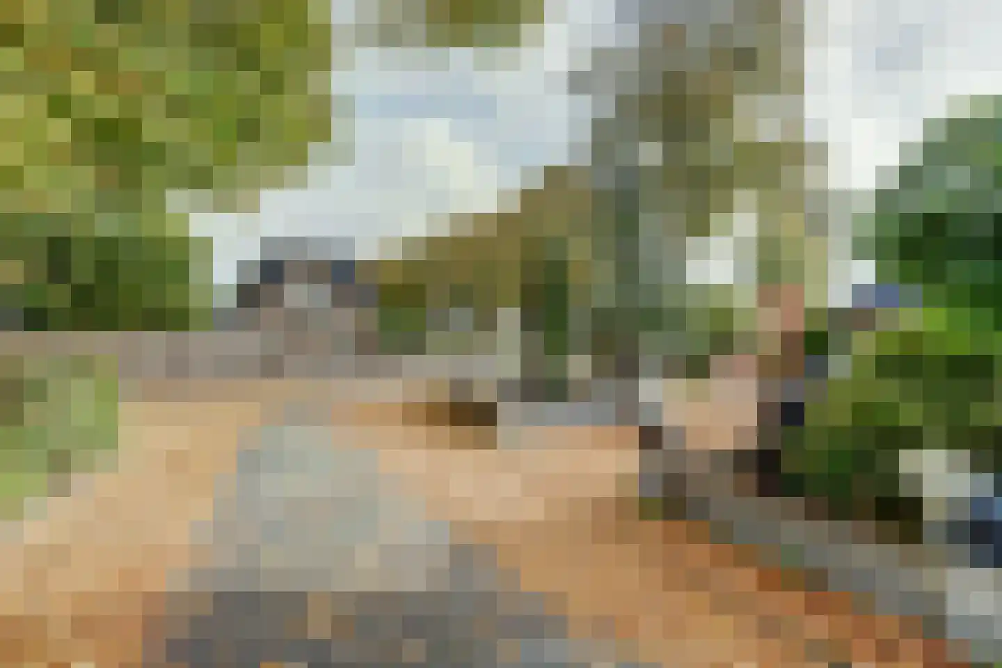 Zr. Simpliciastraat 16 Emmer-Compascuum thumbnail 43
