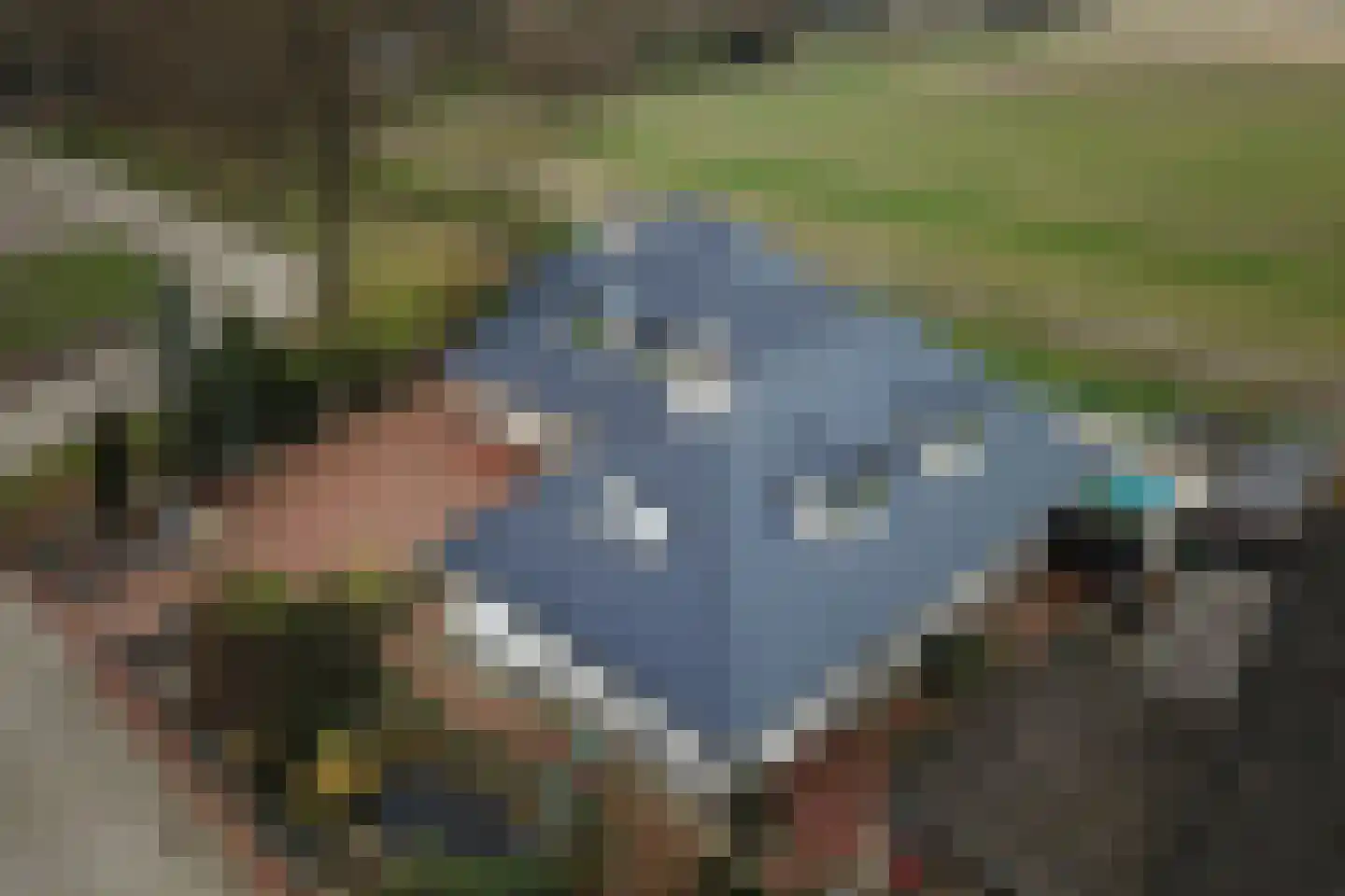 Zr. Simpliciastraat 16 Emmer-Compascuum thumbnail 48