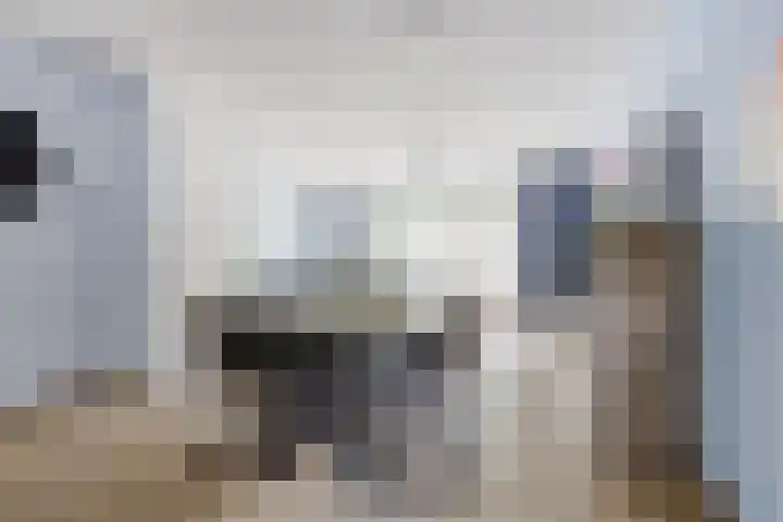 Zr Will van Hooijdonkstraat 17 Putte thumbnail 10