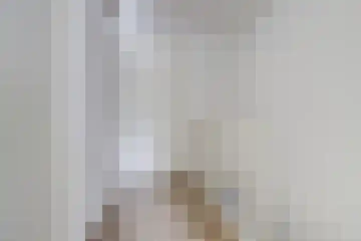 Zr Will van Hooijdonkstraat 17 Putte thumbnail 13