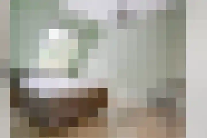Zr Will van Hooijdonkstraat 17 Putte thumbnail 14