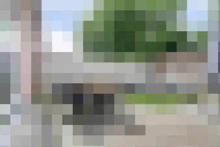 Zr Will van Hooijdonkstraat 17 Putte thumbnail 25